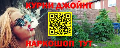гашик Новодвинск
