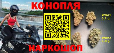гашик Новодвинск