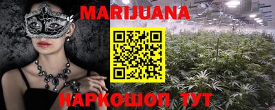 гашик Новодвинск