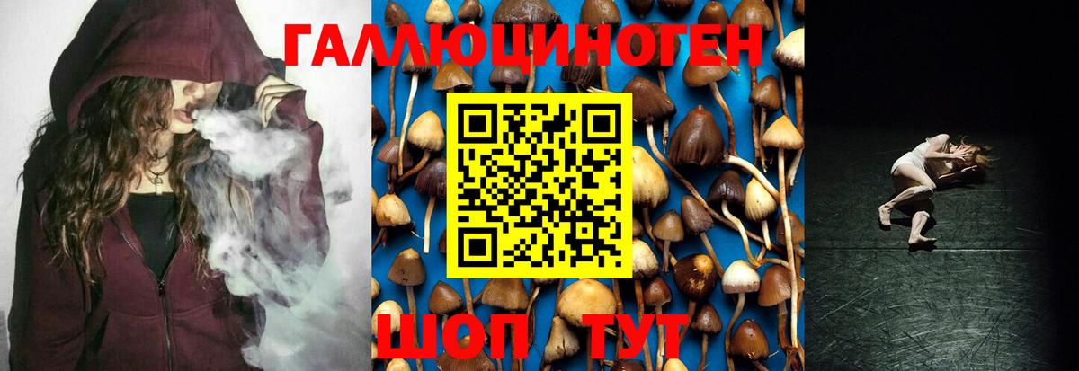 Феодосия  Галлюциногенные грибы мицелий  Вход с VPN 